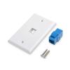 imageCable Matters 2Pack 1Port Ethernet Wall Plate White Cat6 Wall Plate Cat5e Ethernet Outlet with White RJ45 Keystone JackBlue